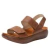 Bailee Woven Luggage Sandal -Alegria Shoes Sale BAI 7463 S1