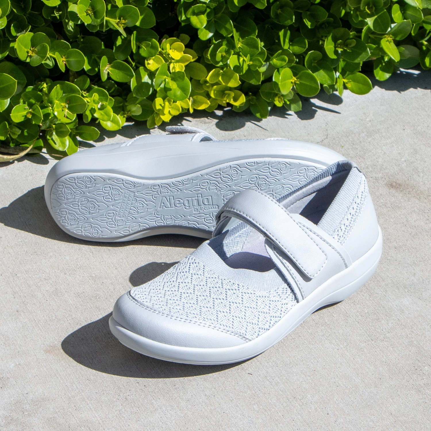 Shoes Dinamo Dove Shoe 4 Shoes Dinamo Dove Shoe - Image 2