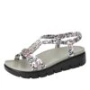 Roz Lovely Grey Sandal 2 Roz Lovely Grey Sandal -Alegria Shoes Sale ROZ 7552 S1 2dafba3e c004 4856 b23d 393a680c7bdd