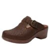 Shoes Selina Tawny Delicut Shoe 2 Shoes Selina Tawny Delicut Shoe -Alegria Shoes Sale SEL 7608 S1