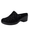 Shoes Sereniti Luxe Deluxe Clog 2 Shoes Sereniti Luxe Deluxe Clog -Alegria Shoes Sale SER 7589 S1