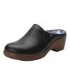 Shoes Sereniti Obsidian Shoe -Alegria Shoes Sale SER 7741 S1 d4d63284 3f01 4421 80f4 a84d4b353a96