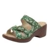 Sierra Green Acres Sandal -Alegria Shoes Sale SIE 7531 S1