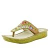 Vanessa Chrysalis Cognac Sandal 2 Vanessa Chrysalis Cognac Sandal -Alegria Shoes Sale VAN 260 S1