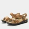 Vienna Fawn Sandal 1 Vienna Fawn Sandal -Alegria Shoes Sale VIE 6105 S1 1e71ba50 d50f 4122 84a2 679956877d99